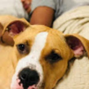 Meet your Posher, Sintha